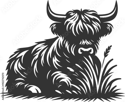 Cattle highland silhouette vector