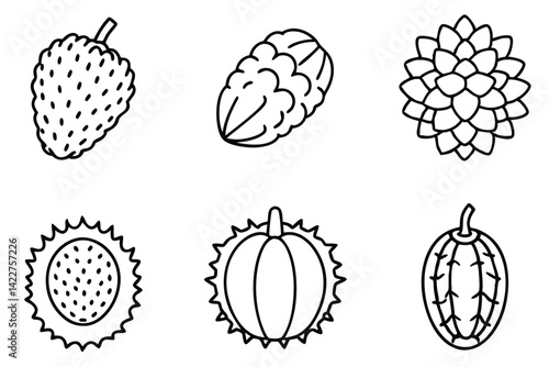 Durian fruit highly nutritious packed with vitamins and fiber