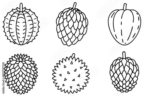 Durian fruit exotic flavor experience cherished by locals