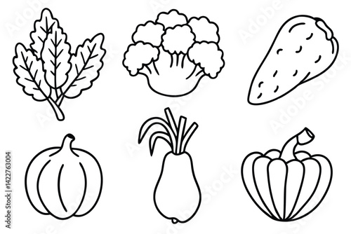 Farm Fresh Ecologica Nature’s Purest Produce Delivered Fresh