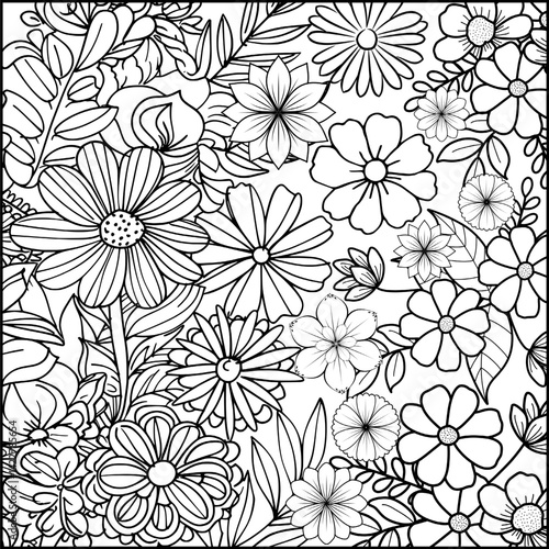 Wallpaper Mural Printable coloring page summer concept. Coloring book activity. Outline vector illustration. Black and white line nature, flowers pattern. Coloring book for adult and kids. Torontodigital.ca