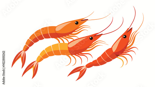 Pack of Fresh Shrimps in a Bowl set of Three Different Poses set with white Background for Seafood Branding, vector illustration