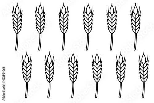 Barley cultivation strategies for increased crop yield