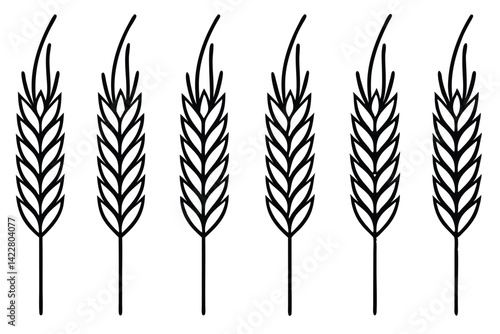 Barley farming tips for maximizing harvest success