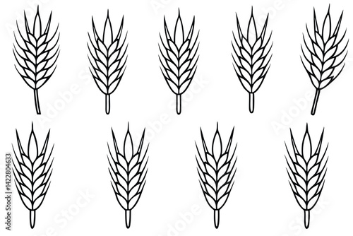 Barley uses in brewing baking and healthy living