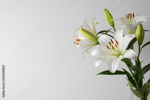 White lilies, elegant floral arrangement, casting a tranquil ambiance on a subtle cream background, Serene composition of beautiful white lilies with delicate shadows
