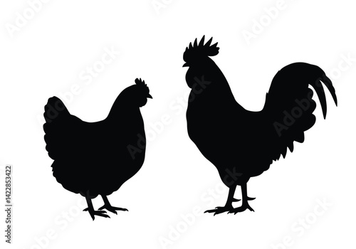 Hen and rooster silhouette. This image illustrates a hen and rooster standing side by side in silhouette, representing domestic poultry and farm life. Vector clipart illustration design.