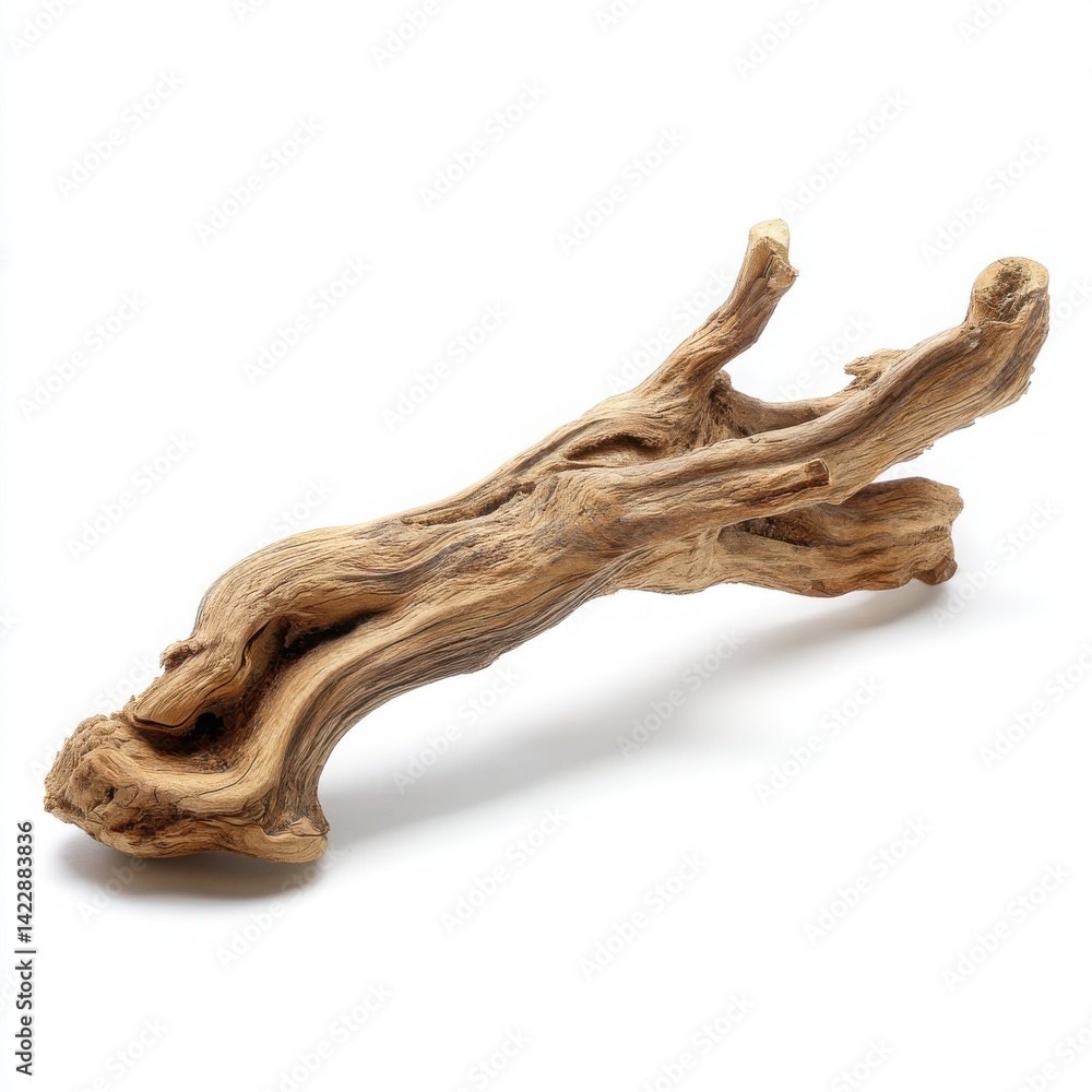 A piece of weathered driftwood with a textured surface isolated on a white background. root of a tree A piece of weathered driftwood with a textured surface isolated on a white background. root of a tree