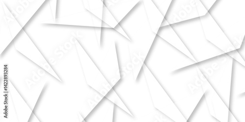 Abstract background with liens and triangles shape on white background. White and grey geometric overlapping rectangle pattern Geometric background soft shadows as patten ..White polygon textured .