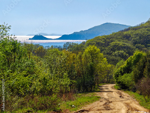 A peaceful dirt trail meanders through a lush green forest, heading towards a serene waterfront. the vibrant foliage and distant hills contrast beautifully with the shimmering sea, creating a