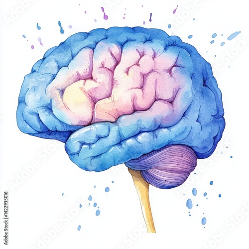 Colorful watercolor illustration of a human brain showcasing artistic interpretations of neural connections and cognitive processes in vibrant hues