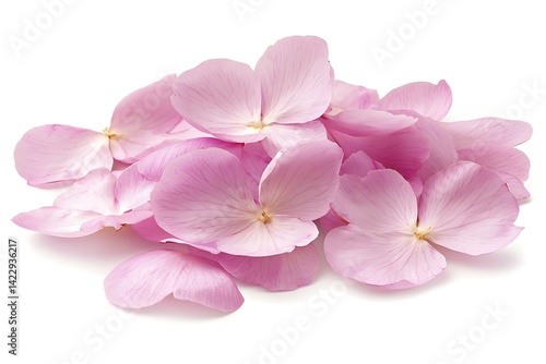 Pink flower petals pile isolated white background. Possible use stock photo