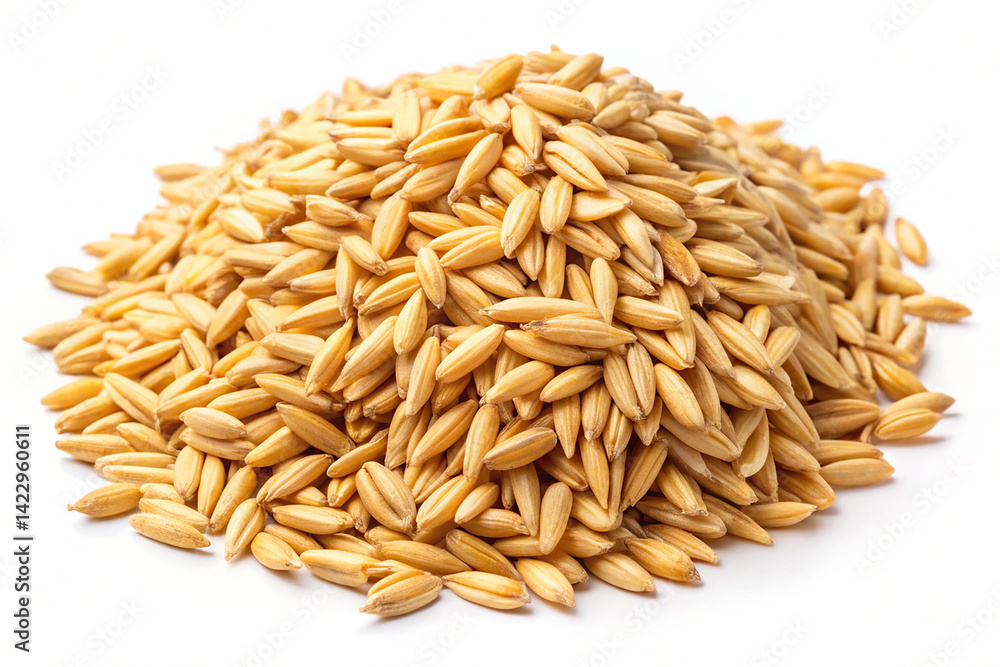 Raw Oat Grains Scattered on a White Background Raw Oat Grains Scattered on a White Background
