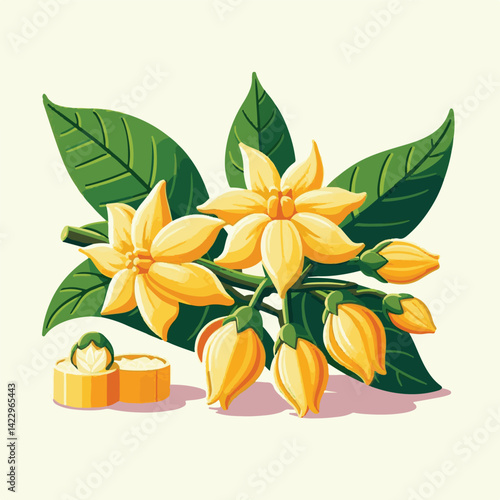 plant, blossom, nature, flora, bloom, aromatherapy, flower, natural, aroma, yellow, leaf, tropical, beauty, cananga, perfume, green, isolated, botanical, background, spa, essential, fragrance, organic