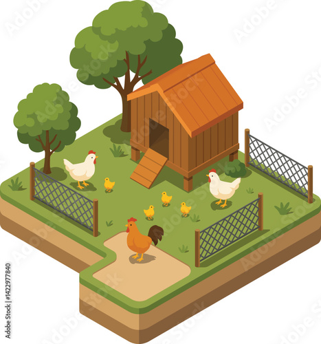 Isometric chicken farm with chicken coop and fences