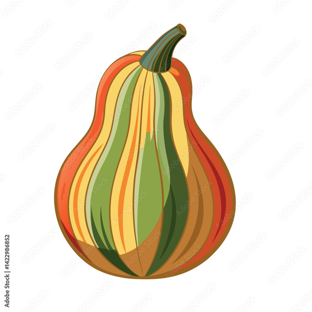 Autumn Pattypan Squash Illustration Autumn Pattypan Squash Illustration