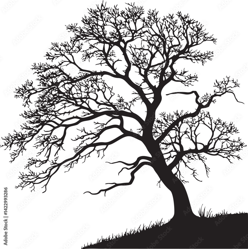 Fototapeta premium Pedunculate Oak tree silhouette vector illustration