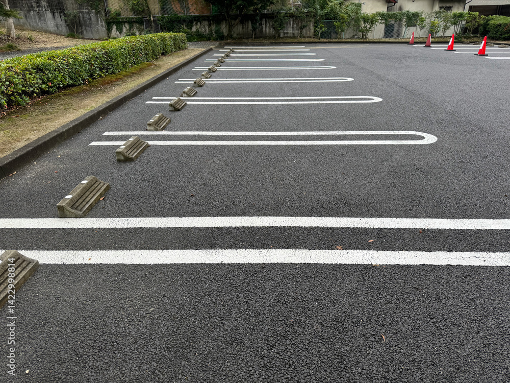 Obraz premium empty parking lot - row of empty parking spaces in a car park, white lines on asphalt, traffic cones and bushes in the background