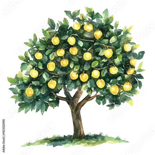 watercolor of Tree With Glowing Fruits, vector, isolated on a white background.