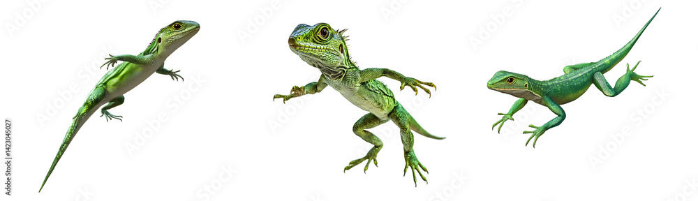 Obraz premium Green lizard, jumping, with a transparent background
