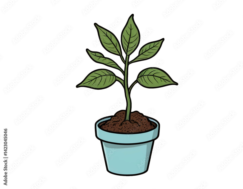 Plant Plant