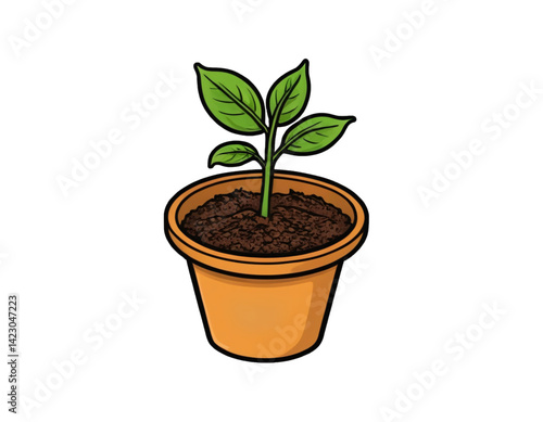 Plant