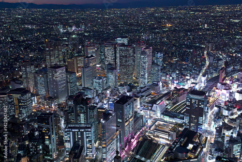 新宿夜景・摩天楼