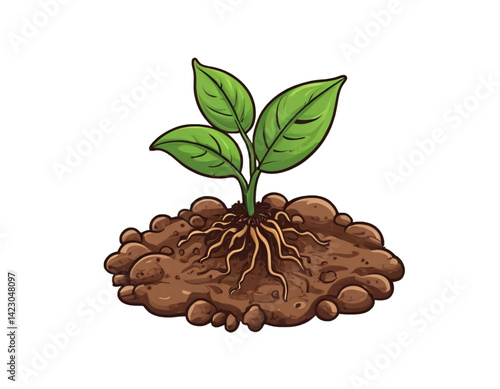 Plant