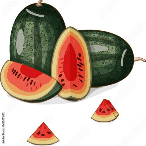 Whole and chopped Black Beauty Watermelon. Citrullus lanatus. Vegetables. Clipart. Isolated vector illustration.