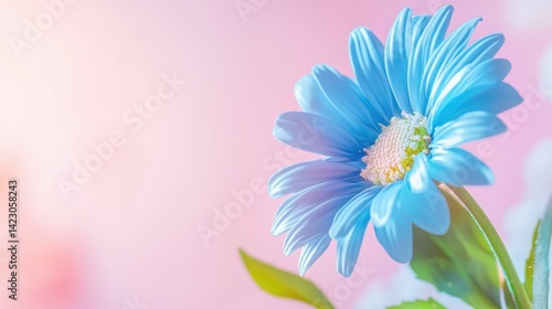 Isolated blue daisy with soft lighting, crisp shadows on minimal background, symbol of tranquility and freshness