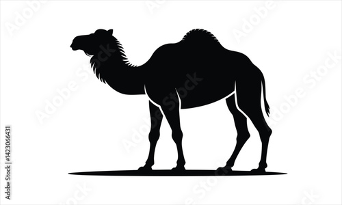 Camel Walking in Desert