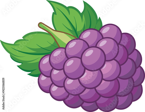 A vibrant vector art illustration showcasing delicious boysenberries with rich colors and detail, perfect for food, nature, or packaging designs.