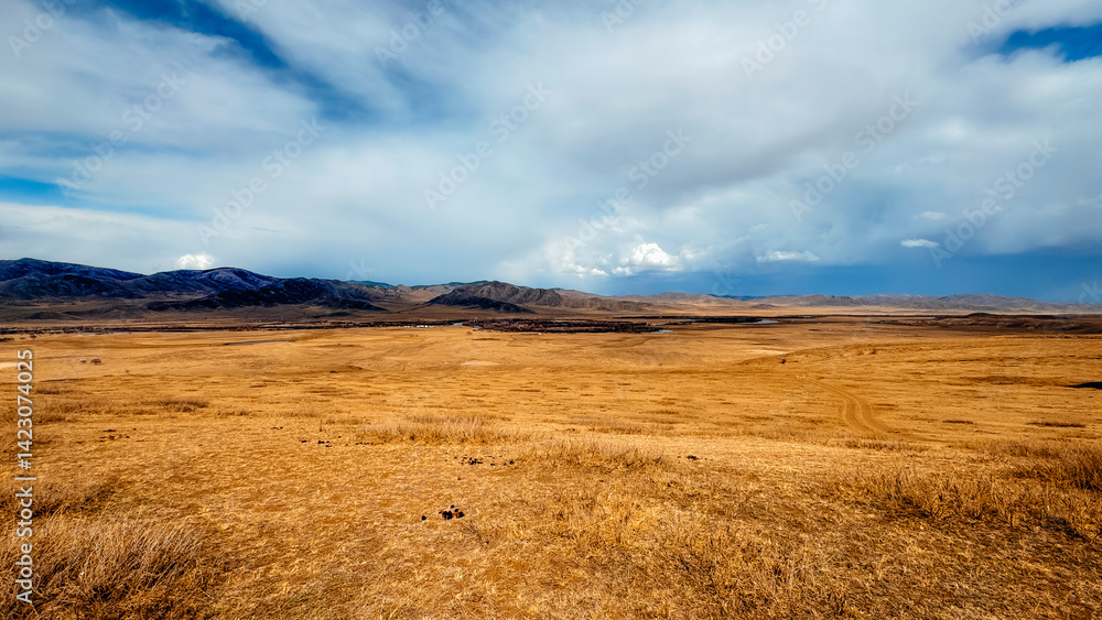 Obraz premium mongolian countryside 
