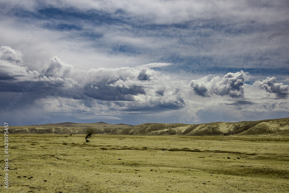 Obraz premium mongolian countryside