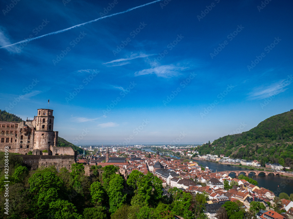Naklejka premium Schloss Heidelberg