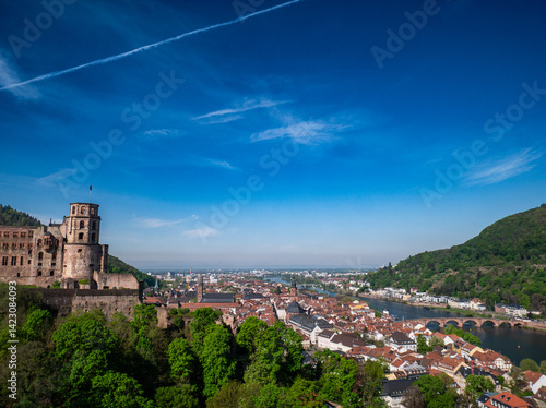 Schloss Heidelberg