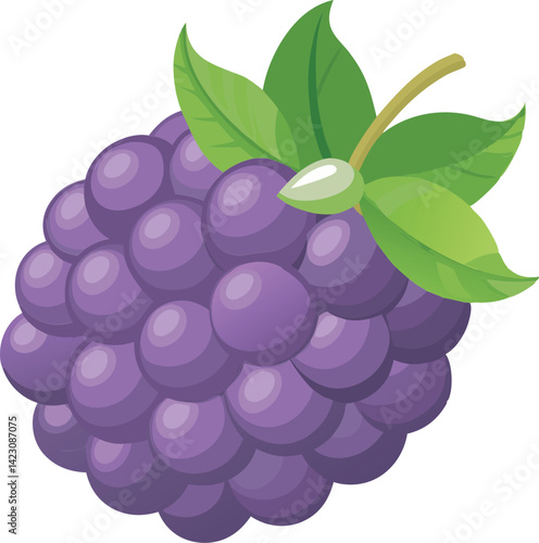 A vibrant vector art illustration of a delicious boysenberry, showcasing its rich colors and intricate details for a fresh, appetizing look.