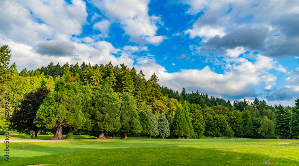 Obraz premium Evergreen park landscape panorama. Lush green forest park. Summer landscape in cloudy day. Environment and ecology. Green forest with cypress tree park. Green landscape with tree. Nature landscape