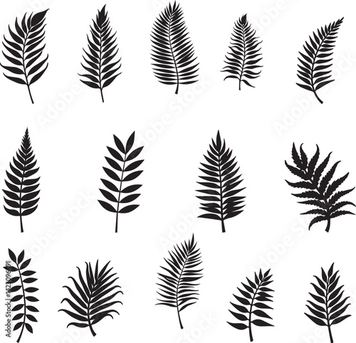 Black Jungle Leaves Clipart for Design