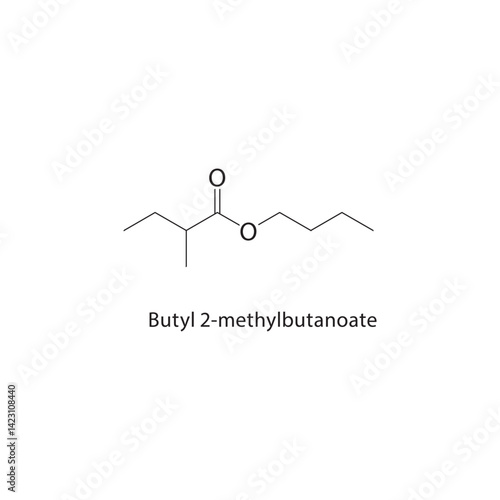 Butyl 2-methylbutanoate skeletal structure. Ester compound schematic illustration. Simple diagram, chemical formula.