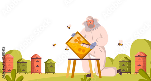 Beekeepers at apiary, work with hives and honey bees. Apiarists at farm on summer field panorama. Apiculture workers in suit, bees, beehives and honeycomb. Beekeeping concept. Flat vector illustration