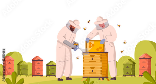 Beekeepers at apiary work with hives and honey bees. People in beekeepers suit gather honey at apiculture farm. Characters using smoker, holding beehive frames, honeycomb. Flat vector illustration.