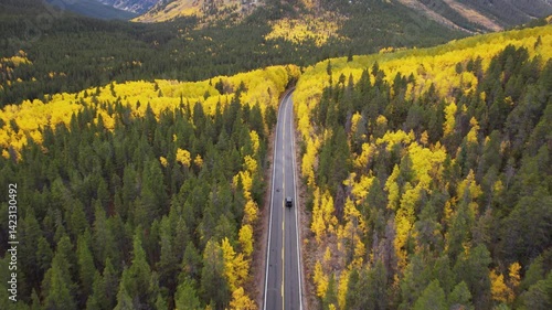 Drove Shot of Black Car Moving on Mountain Pass in Forest With Yellow and Green Foliage in Autumn Season