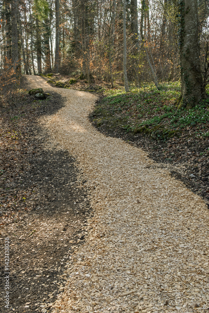 Obraz premium paysage de l'Aubonne rivière sauvage