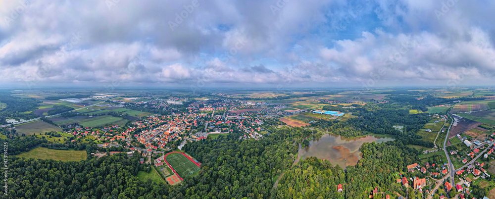 Aerial view of small town surrounded by forest, farmland, and flooded areas after heavy rain. Bird eye view of village in Poland. Landscape with residential buildings in suburban neighborhood