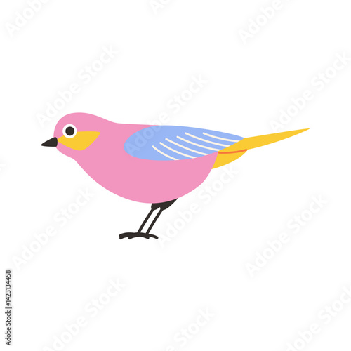 Spring bird illustration