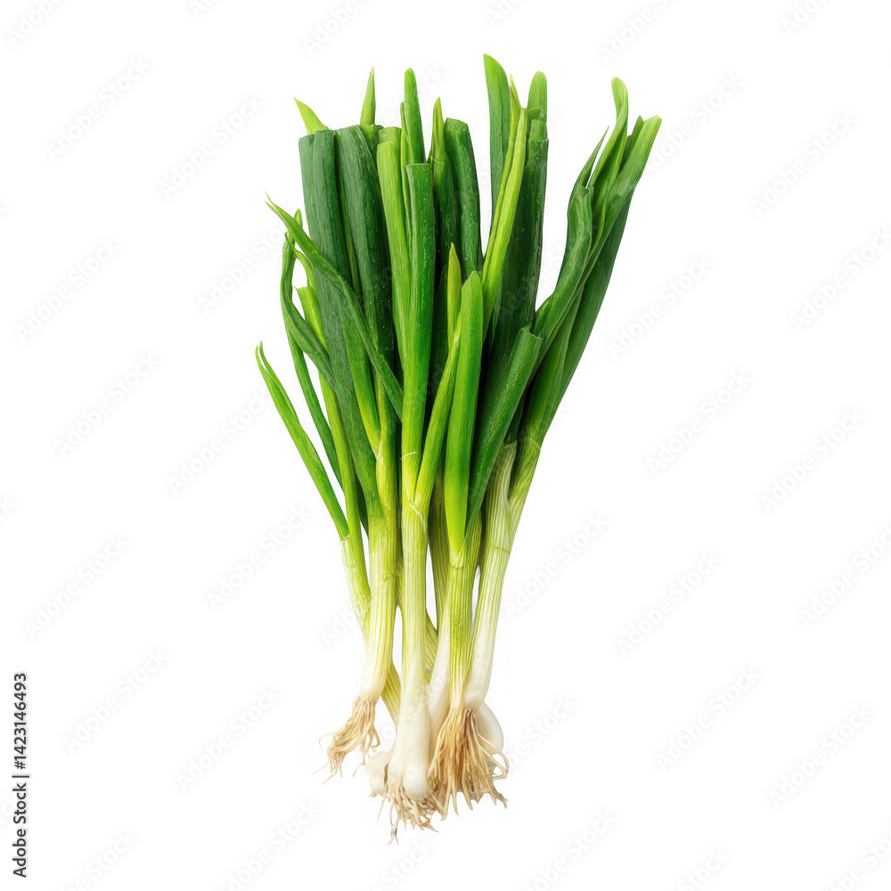 Fresh green onions and scallions food photography studio environment Fresh green onions and scallions food photography studio environment