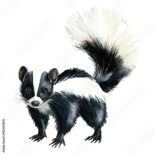 illustration of Skunk With Flared Tail, watercolor vector, isolated on a white background.