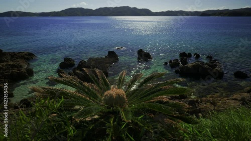 奄美大島・朝景08