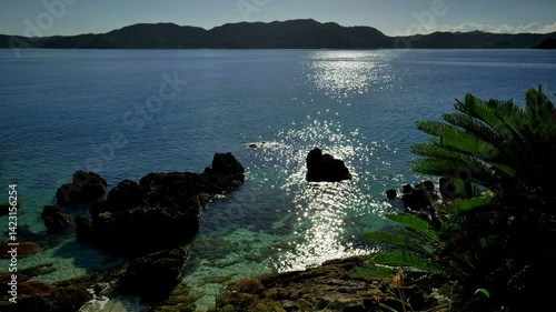 09奄美大島・朝景